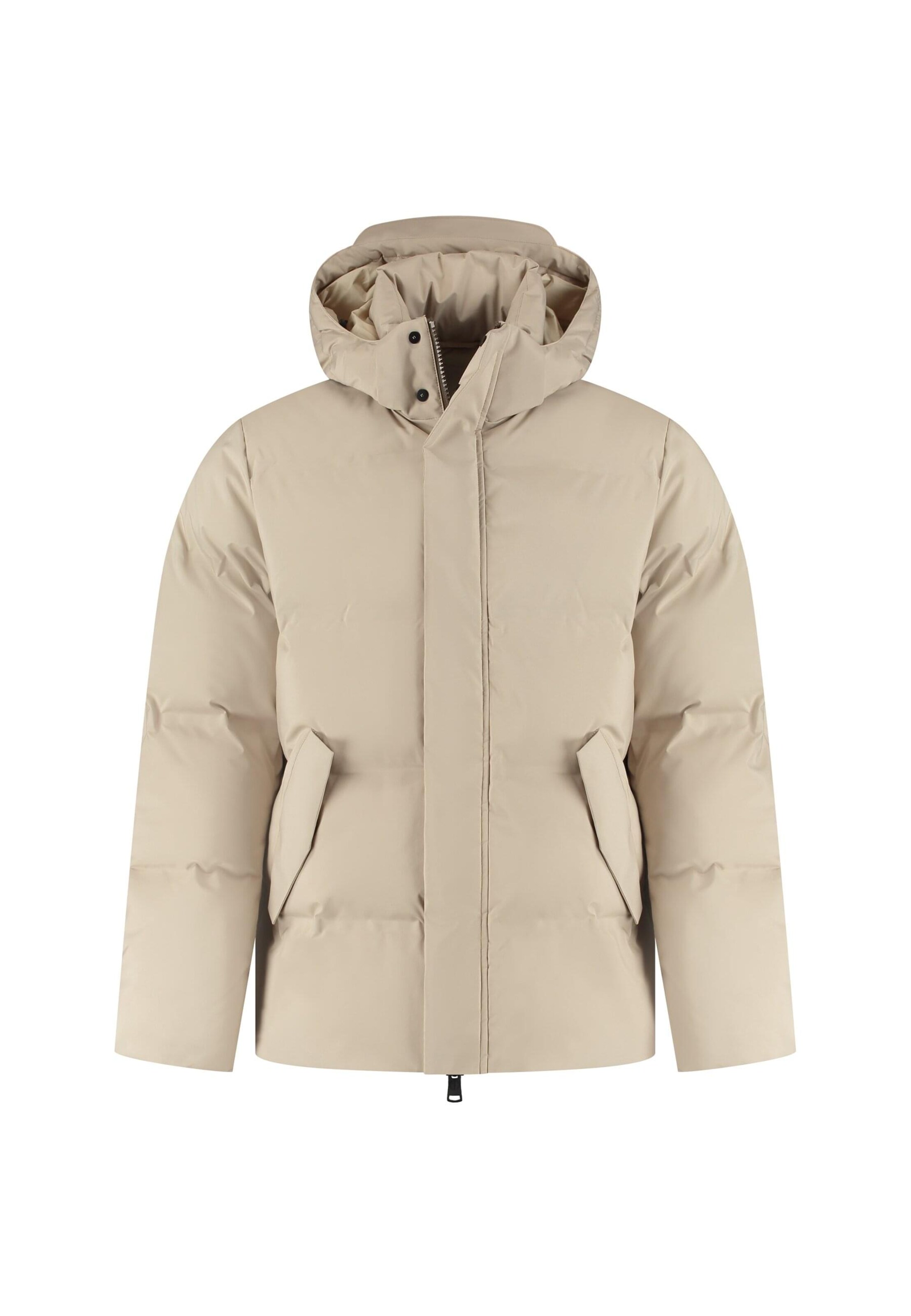 Dstrezzed Winter jacket 'Brys' in Grey: front