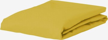 ESSENZA Bed Sheet in Yellow: front