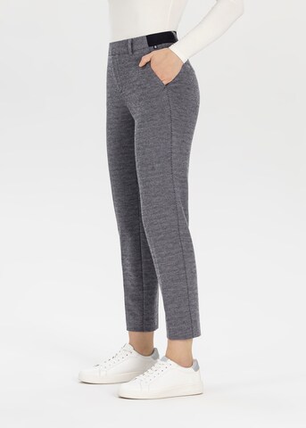 STEHMANN Regular Pants in Grey