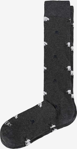 pilka Scalpers Kojinės ' ': priekis