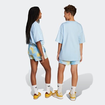 ADIDAS ORIGINALS Regular Pants in Blue