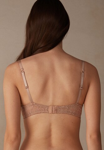 INTIMISSIMI Push-up Bra in Beige