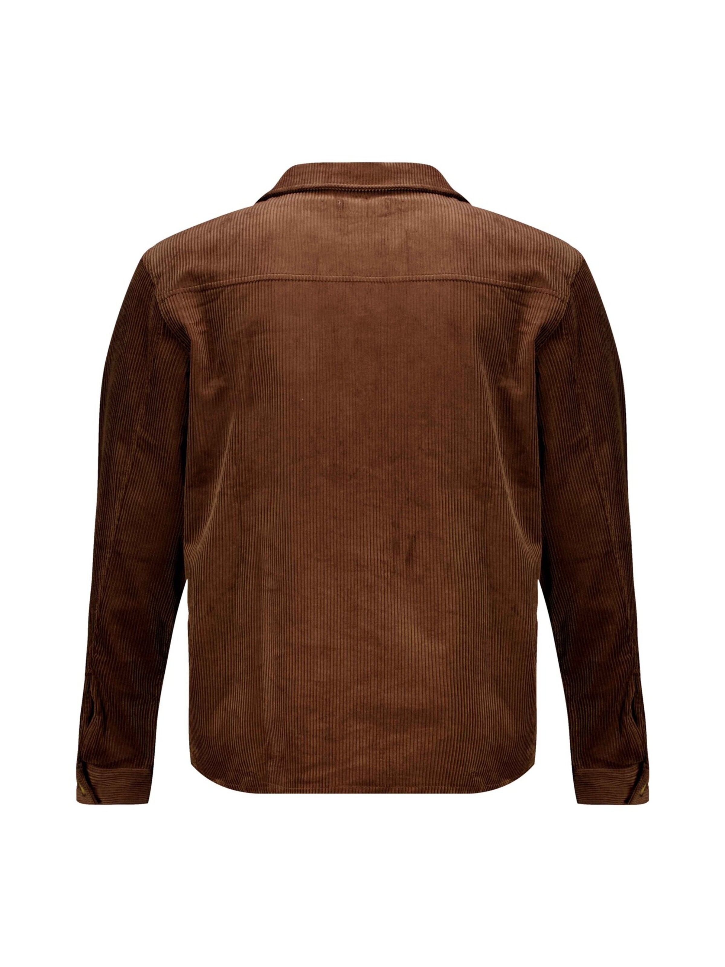Coupe regular Chemise 'ALINO' Deeluxe en marron