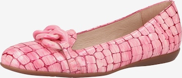 Wonders Ballet Flats in Pink: front