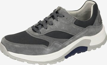 Pius Gabor Sneakers in Grey: front