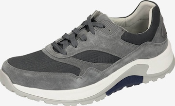 Pius Gabor Sneaker in Grau: predná strana