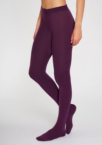 LAVANA Tights in Purple