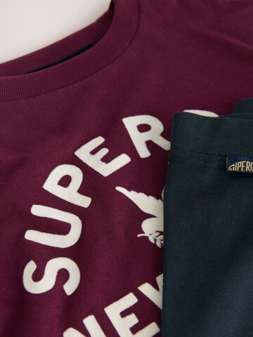 Superdry & Co Комплект в Синий