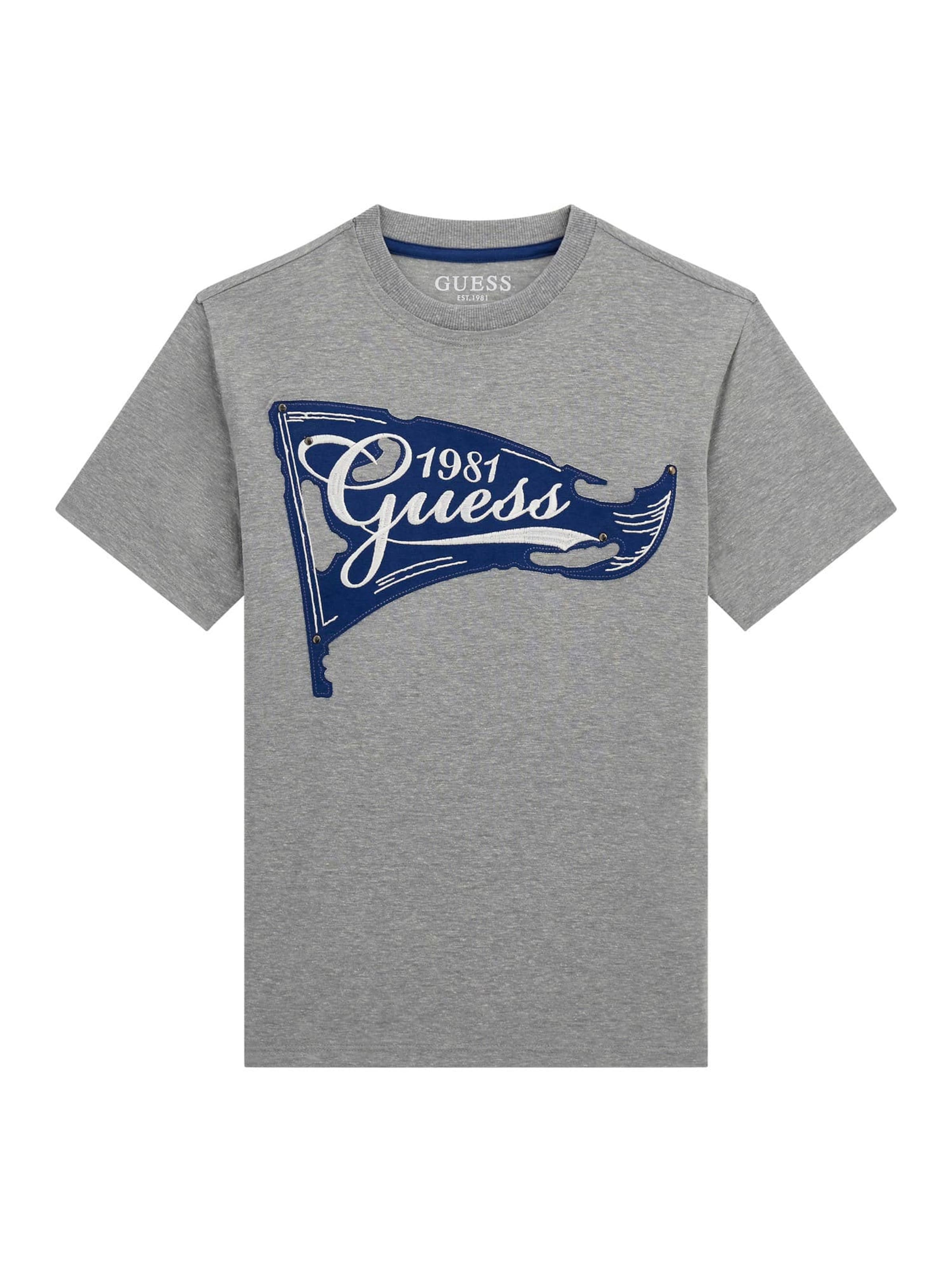 GUESS T-Shirt in Grau: Vorderseite