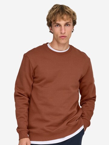 Only & Sons Sweatshirt 'Connor' in Brown