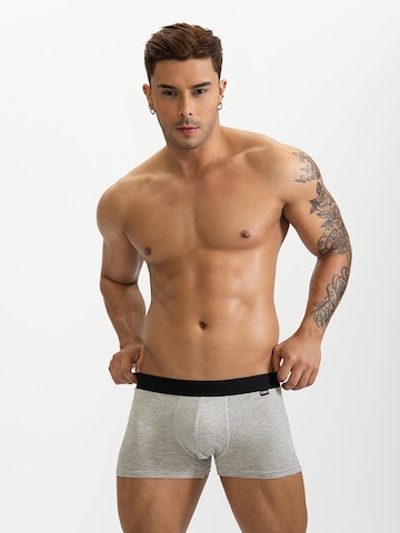 BIMONI Boxer shorts in Grey