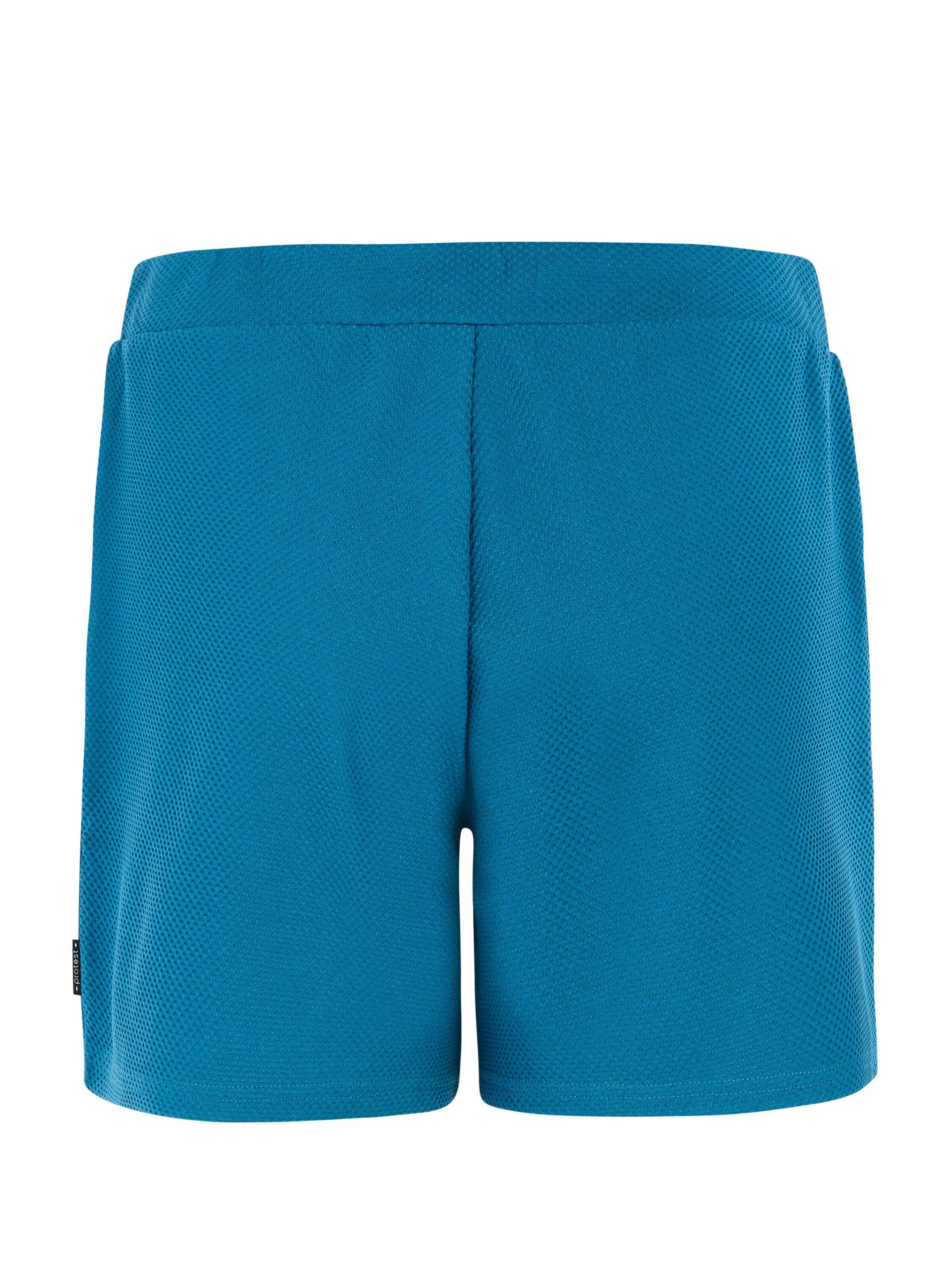 PROTEST Regular Trousers 'PRTSemma' in Blue
