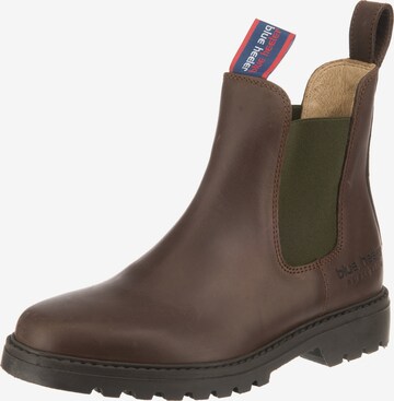 Blue Heeler Chelsea Boots 'Jackaroo ' in Brown: front