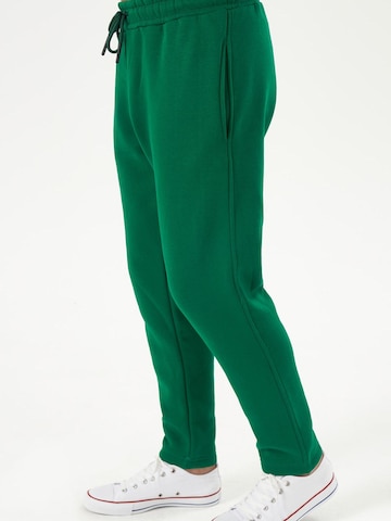 LOUIS LECLER Slim fit Pants 'Lucien' in Green