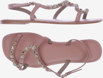 CAFÈNOIR Sandals & High-Heeled Sandals in 39 in Pink: front
