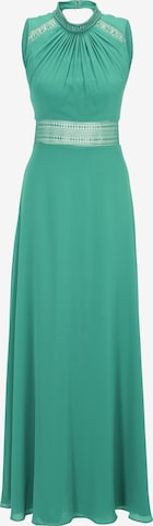 VM Vera Mont Evening Dress in Green: front