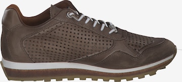 Cetti Sneakers 'C848 S M' in Brown