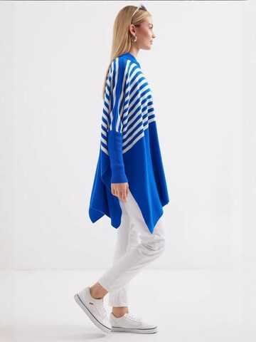 Bigdart Trui in Blauw