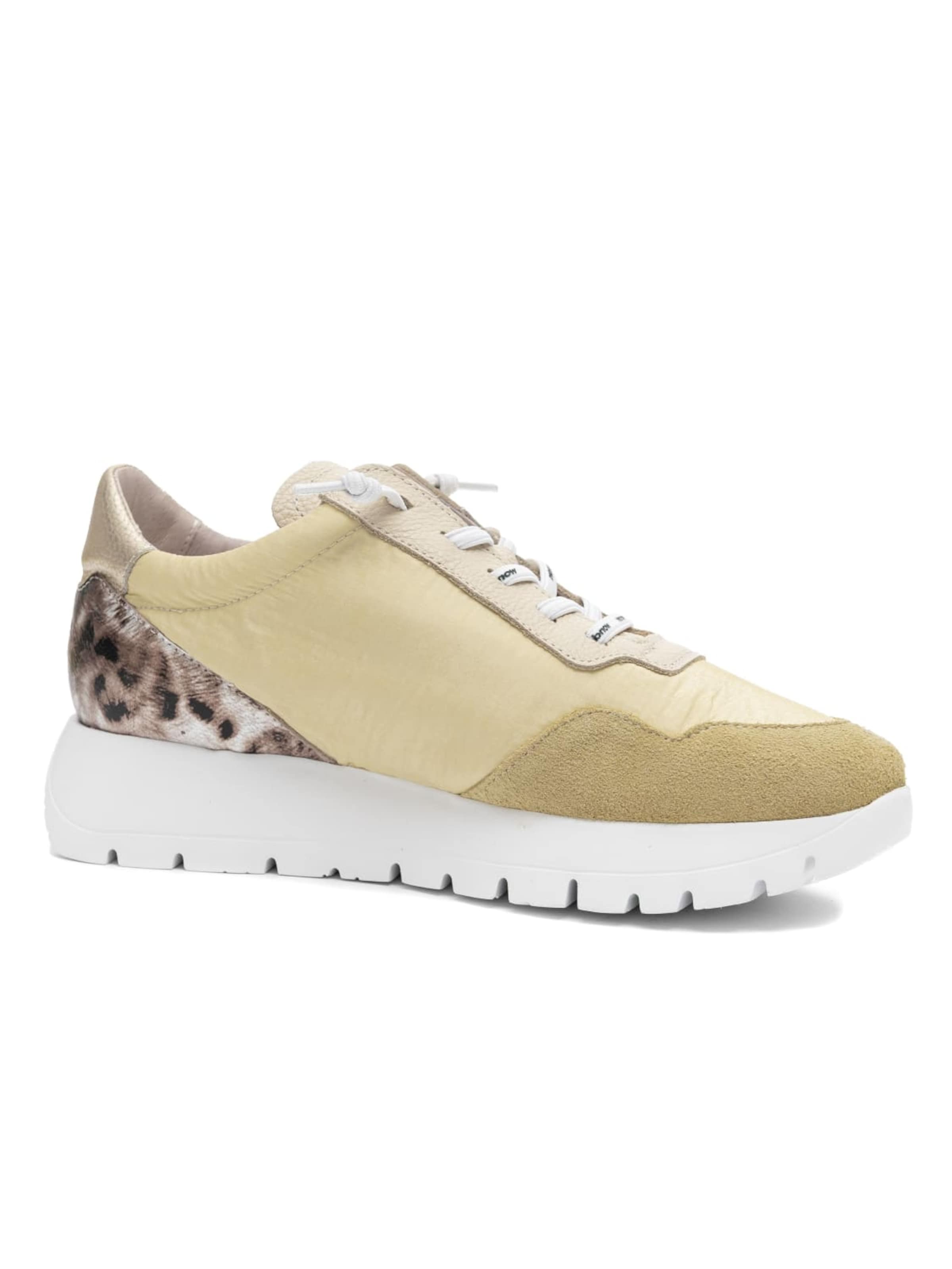 Wonders Sneaker low 'A-24100-VANILA-PL'‌‌‌ in Gelb