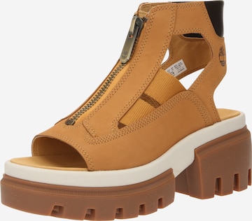 TIMBERLAND Sandal 'Gladiator' i brun: framsida