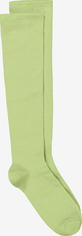Ulla Popken Knee High Socks in Yellow: front