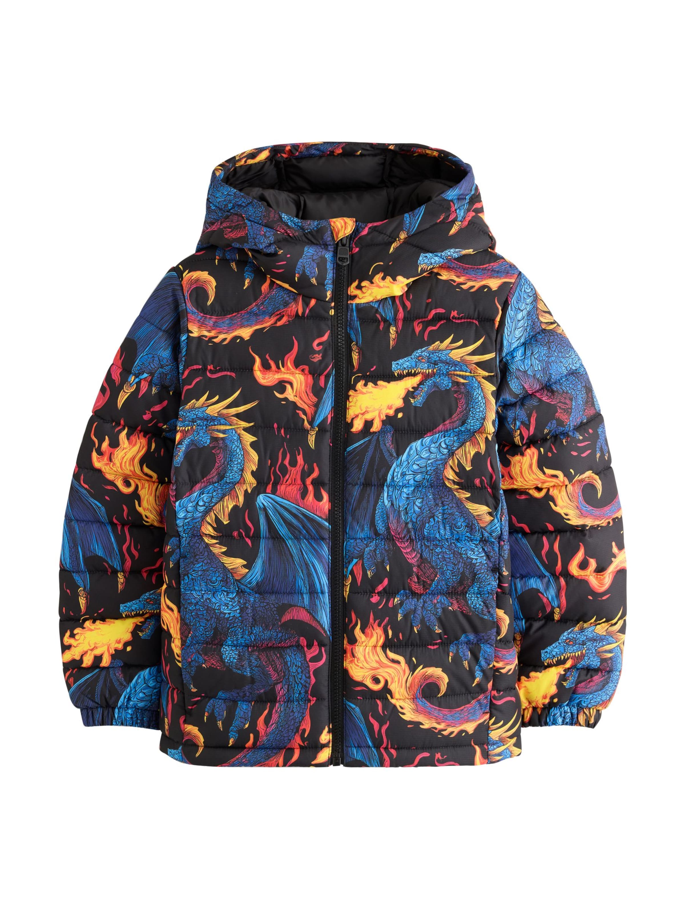 Next Winterjas in Gemengde kleuren: voorkant