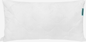 Wendre Pillow in White