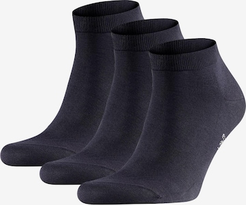 FALKE Athletic Socks in Blue: front