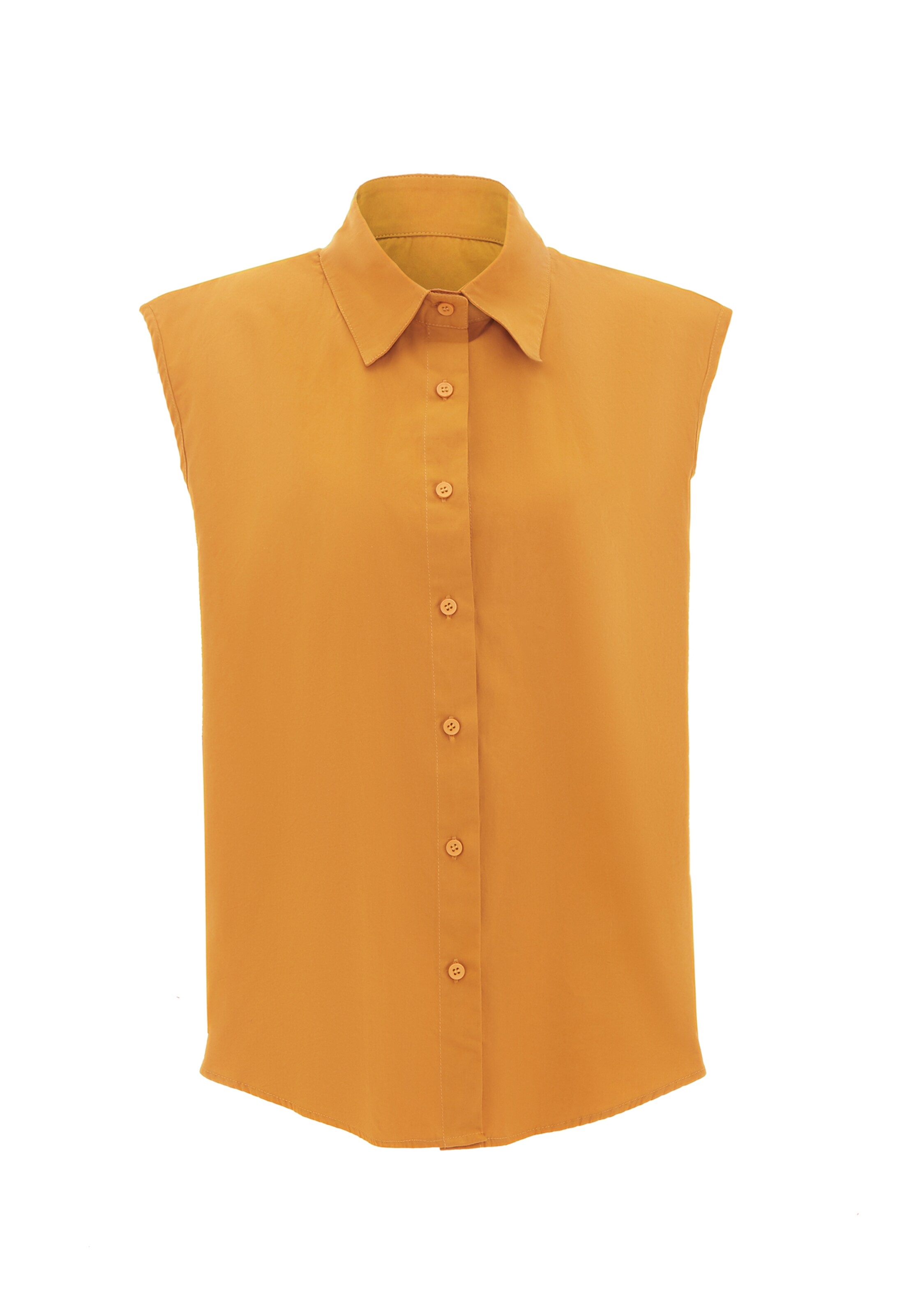 HOMEBASE Sweatshirt in Bruin