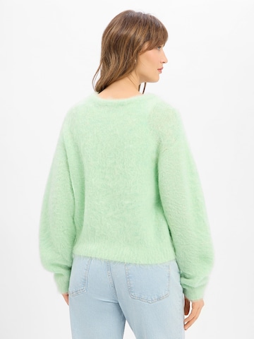 AMERICAN VINTAGE Trui in Groen