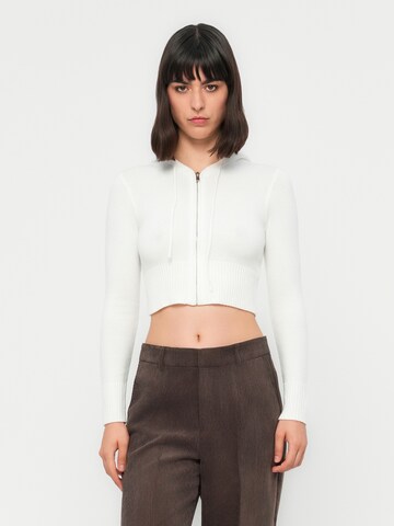 Wide leg Pantaloni cu dungă 'ONLKATEY' de la ONLY pe maro