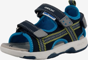 GEOX Sandale in Blau: predná strana