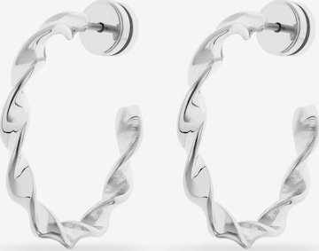 FAVS Earrings in Silver: front