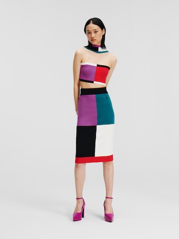 Karl Lagerfeld Skirt in Mixed colours