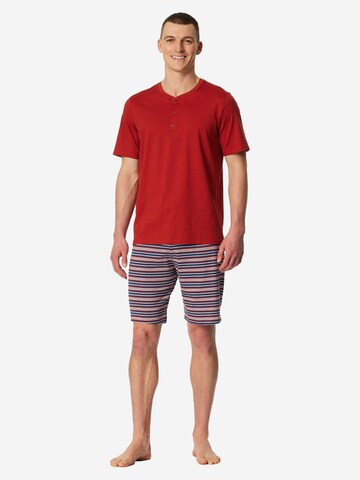 SCHIESSER Pyjama kort 'Casual Nightwear' in Rood