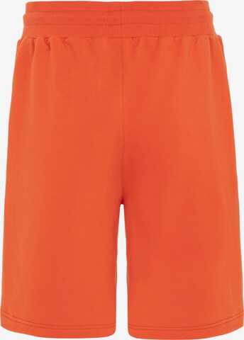 Redbridge Regular Pants 'Lincoln' in Orange