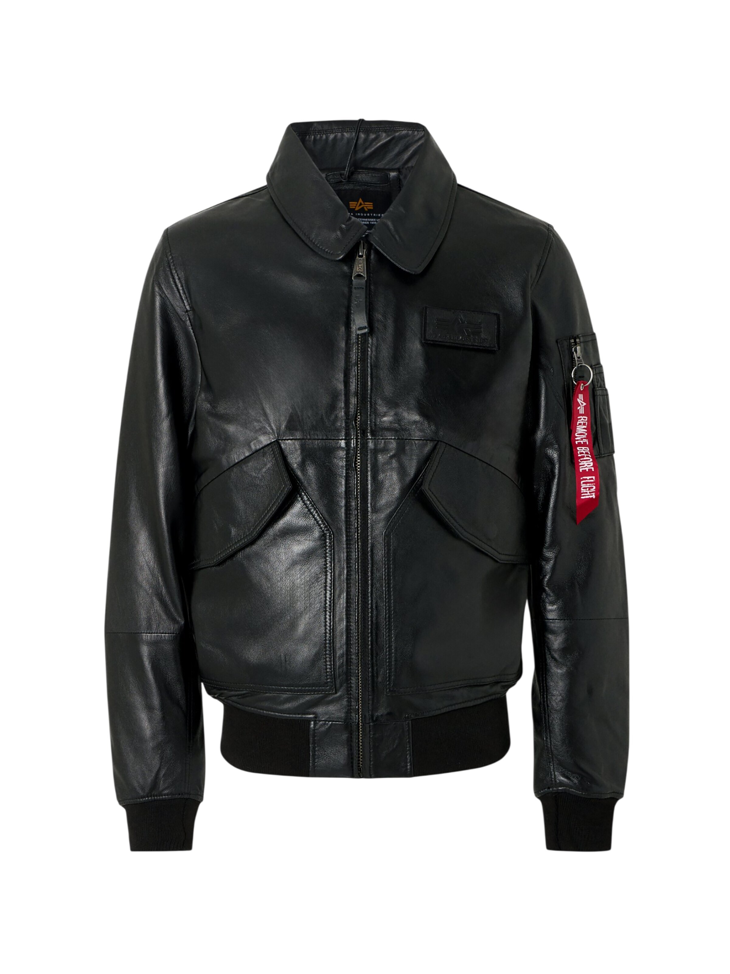 ALPHA INDUSTRIES Winter Jacket in L in Black, Item view