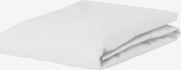 ESSENZA Bed Sheet in White: front