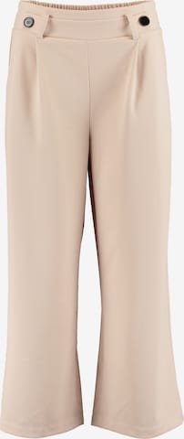 Hailys Wide Leg Hose 'Ar44iane' in Beige: predná strana