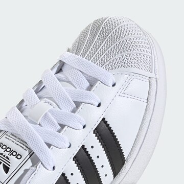 Baskets ' Superstar II' ADIDAS ORIGINALS en blanc