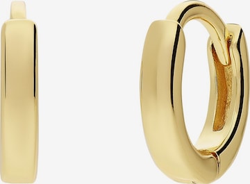 Lucardi Earrings in Gold: front