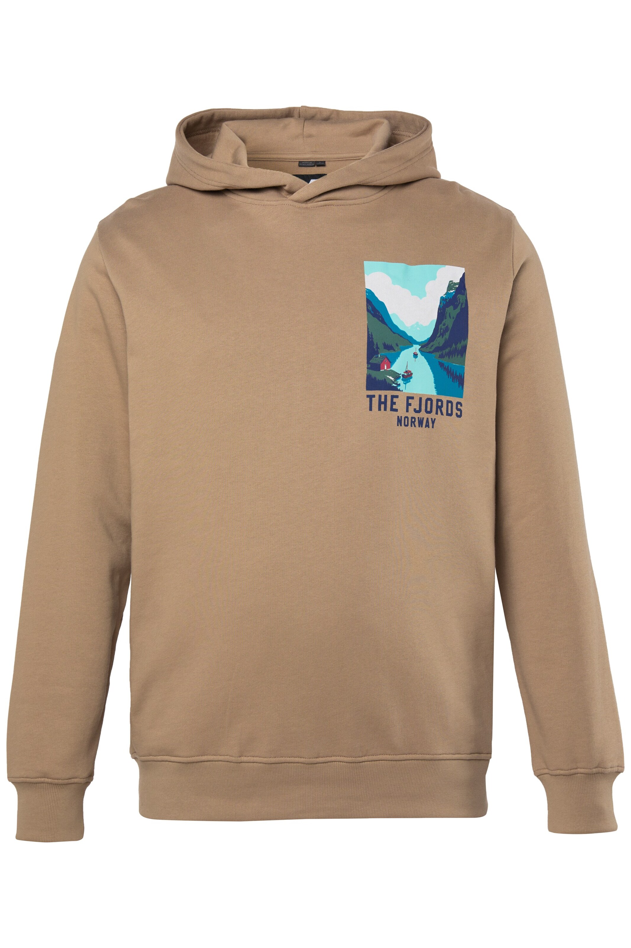Men Plus Sweatshirt in Beige: Vorderseite