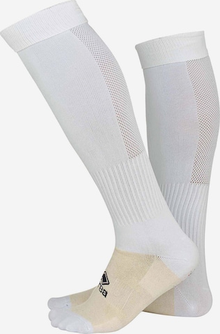 Errea Sports socks in White: front