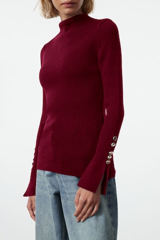 Trendyol Pullover in Rot