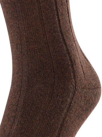 FALKE Socken 'Lhasa Rib'‌‌‌‌‌‌‌ in Braun