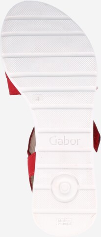 GABOR Sandalen met riem in Rood