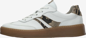 GABOR Sneaker in Weiß: Vorderseite