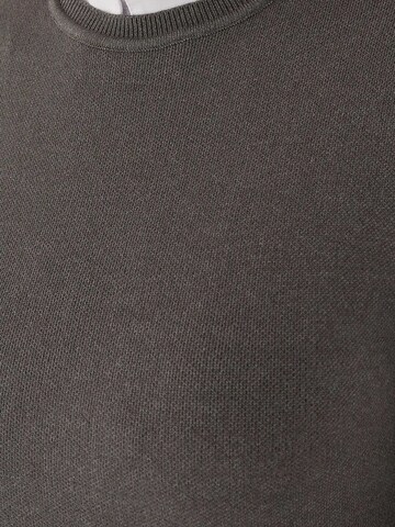 Hiccup Trui in Grijs