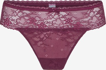 LingaDore - Tanga 'DAILY' em roxo: frente