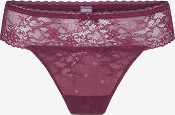 LingaDore - Tanga 'DAILY' em roxo: frente